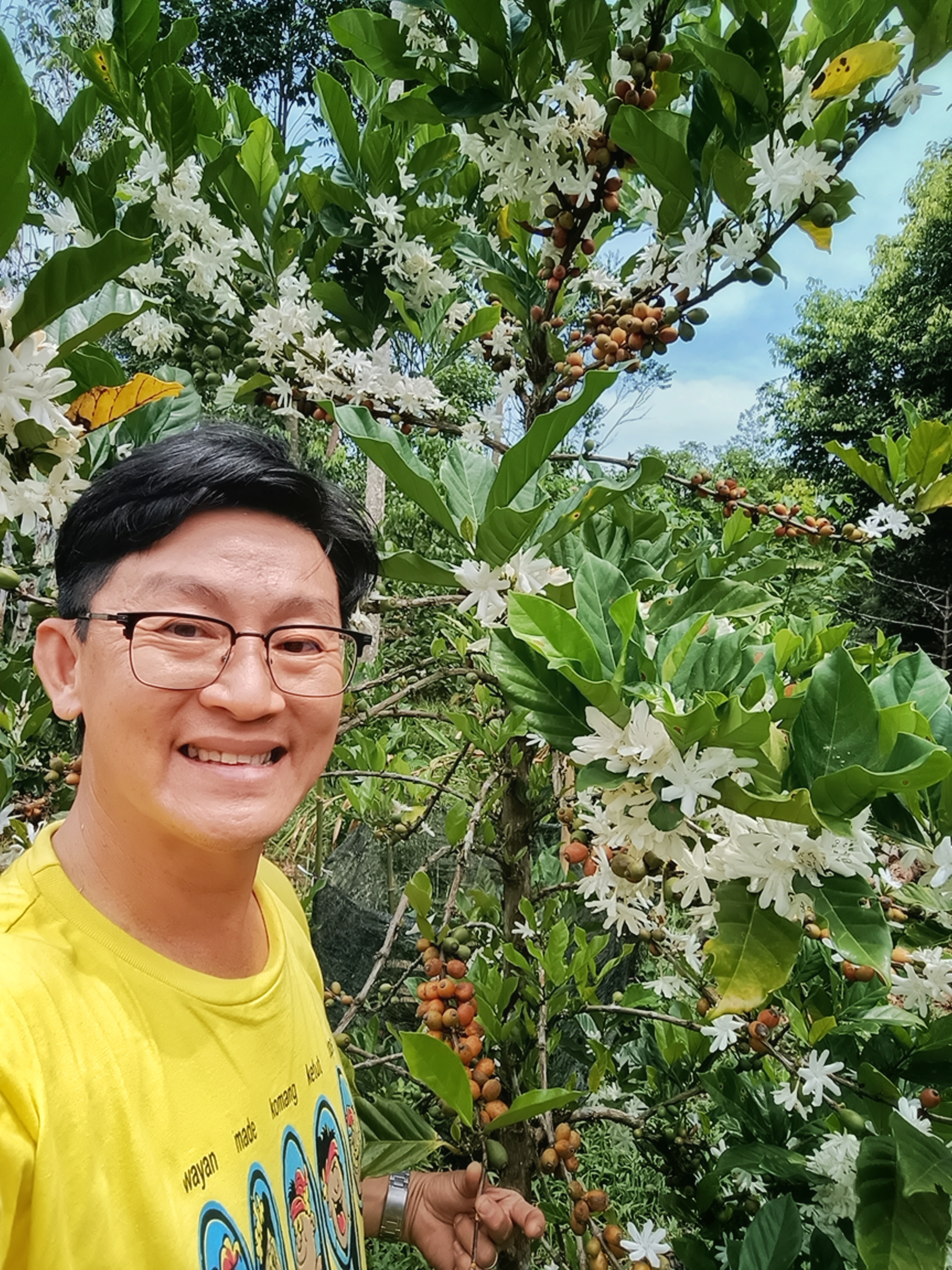 Joe 弟兄與成品植物